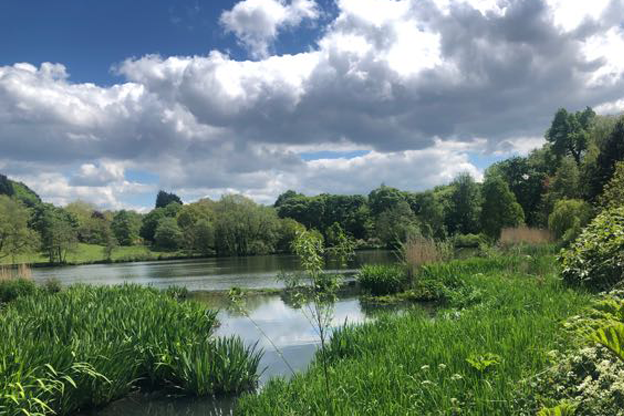 The Vale, Pauline Luget Owen, 30.05.21
